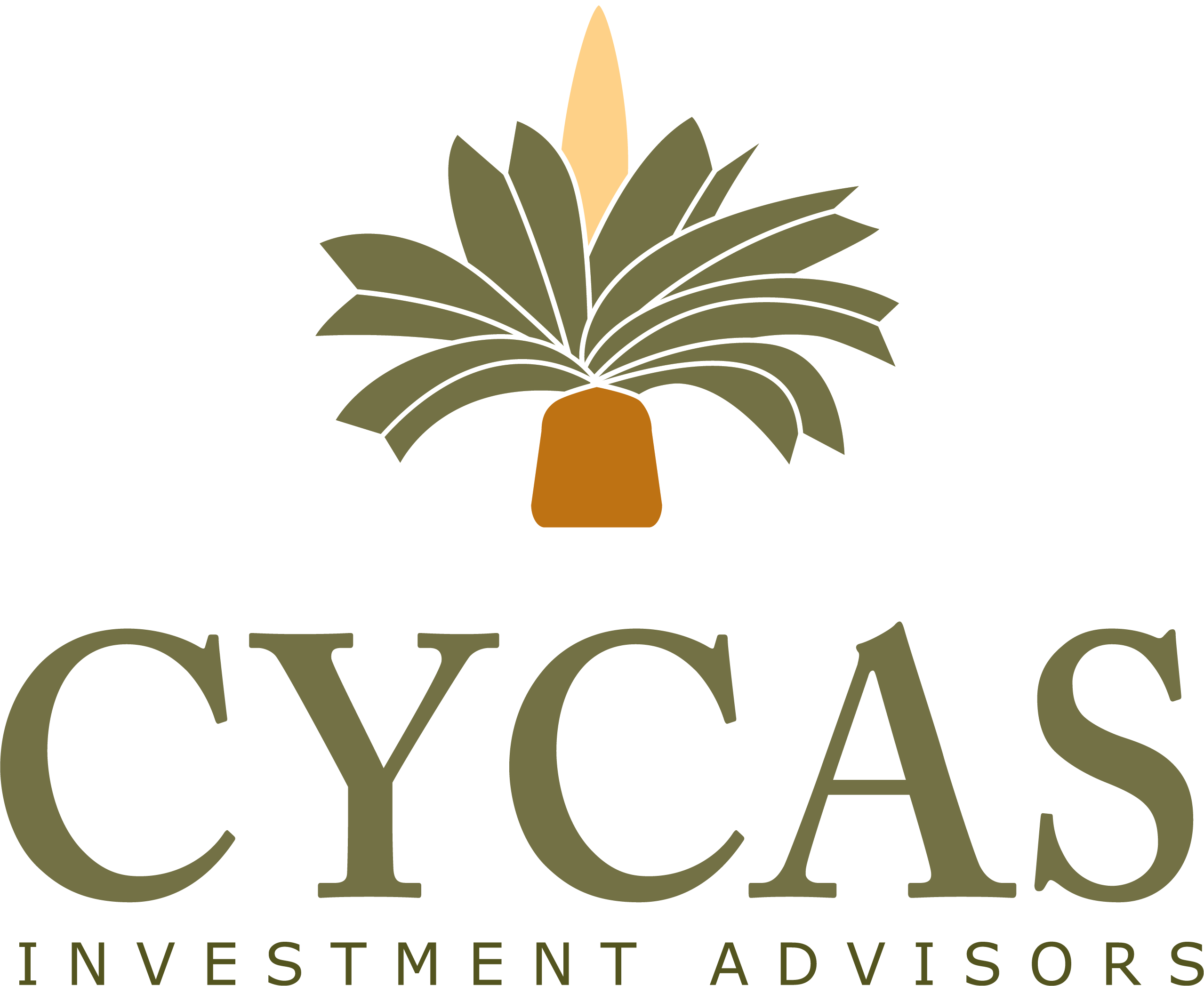 Cycas – Investment Advisors